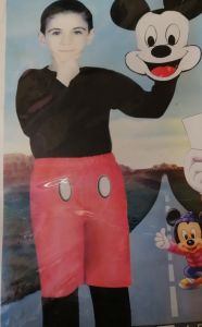 Kids Costumes to Hire - Mickey Mouse costume - CHILD